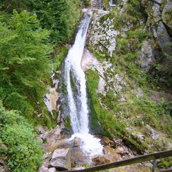 Schwarzwald 2009